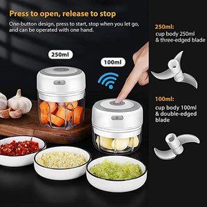 Electric Garlic Masher Mini Chopper Vegetable Chili Meat Ginger Masher USB Charging